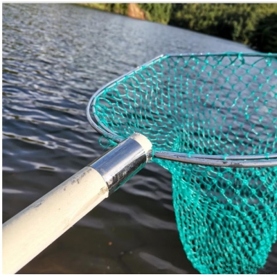 企普 大抄網(wǎng)